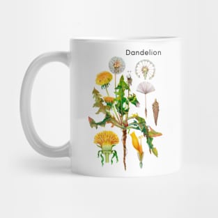 Dandelion Mug